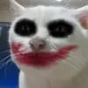 David_chadwick - @david_chadwick - TikTok