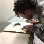 David Wickell - @davidwickell - Instagram