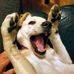 David Wickersham - Facebook