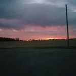 David Wickey - @wickeydavid - Instagram