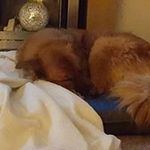 David Wickham - @wickhamd - Instagram