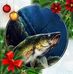 David Wickware - Facebook