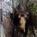 David Widhalm - Facebook