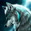 David Wiebe630 - @davidwiebe08 - TikTok