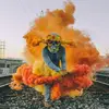 David_Wiel - @davidwiel - TikTok