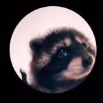 David_wieler - @david_wieler354 - Instagram