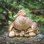 David Wieler Neufeld - @davidwieler2019 - Instagram