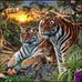 David Wiens - Facebook
