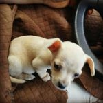 David Wiens - @wiens9281 - Instagram