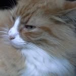 David Samuël Durk Wiersma - @davidwiersma - Instagram