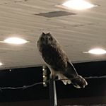 David Wiesner - @wiesner8908 - Instagram