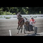 David Wiest - @david.wiest.1272 - Instagram