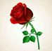 David Wilber - Facebook