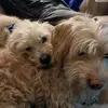 david wilde - @david.wilde7 - TikTok