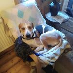David Willard - @david.willard.1614 - Instagram