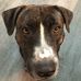 David Willauer - Facebook