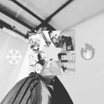 David Willner - @david.willner - Instagram