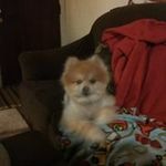 David Wilmer - @wilmerde28 - Instagram