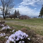 David Wilmer - @nedslandingatsprypoint - Instagram