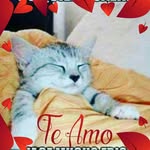 David Wilmer Torres - @davidwilmer18 - Instagram