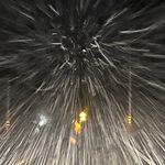 David Windham - @dirtyd116 - Instagram