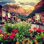 David Windham - @windham.david - Instagram