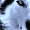 David Wingerter - @david.wingerter2 - TikTok