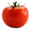 TOMATOES 👅 - @davidwinner8466 - TikTok