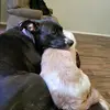 david winter - @david.winter7 - TikTok