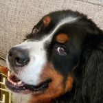 David Winterstein - @winterstein8888 - Instagram