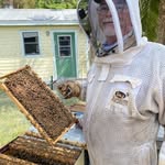 David Wishart - @rockypointbees - Instagram