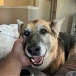 David Wishart - @tainui66 - Instagram