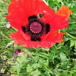 David Wishart - @wishart551 - Instagram