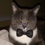 David Witten - @david.witten.14268 - Instagram