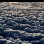 David Wittenzellner - @david_wittenzellner - Instagram