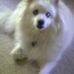 David Wittenberg - Facebook