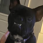 David Witty - @david_witty270 - Instagram