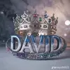 David Wolf - @david.wolf10 - TikTok
