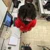 David Wolf 🕊️🕊️ - @david.wolf523 - TikTok