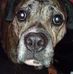 David Whitlock - Facebook