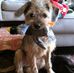 David Woodside - Facebook