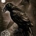 David Woolf - Facebook