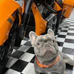 David Woolwine - @superdave77 - Instagram