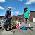 David Wootton - @vegplotnodig - Instagram