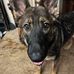 David Workman - Facebook