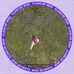David Worner - Facebook