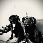 David Wotherspoon - @matt_and_alex1964 - Instagram