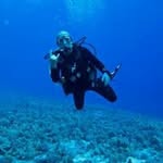 David Wunderlich - @david.wunderlich1 - Instagram