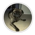 David Wyness - @davidw_123 - Instagram