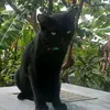 David Xi - @david.xl64 - TikTok